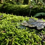 Kako funkcionira izmjena prirodnog plina kako-funkcionira-izmjena-prirodnog-plina.webp.webp