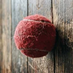 Zašto vam trnu leđa i kako kućna tjelovježba pomaže? zasto-vam-trnu-leda-i-kako-kucna-tjelovjezba-pomaze.webp.webp